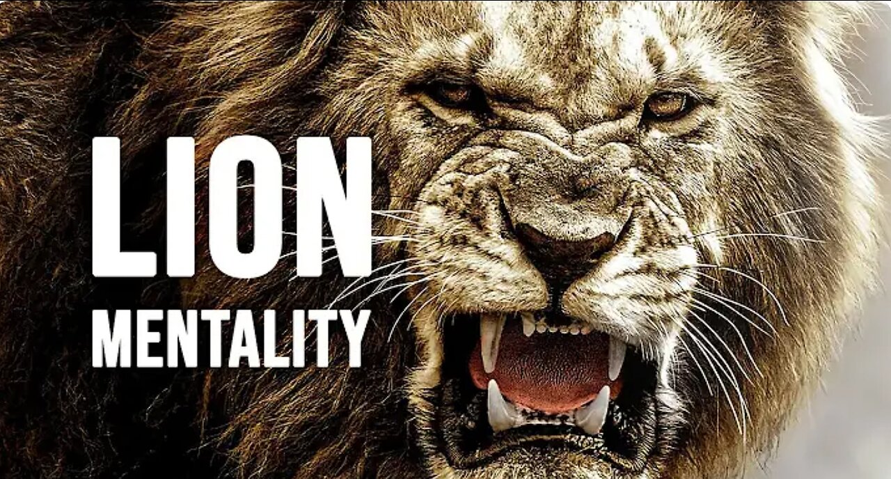 LION MENTALITY - Motivational Video