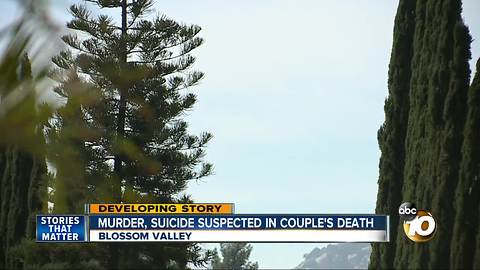 murder, suicide suspected in couple's death