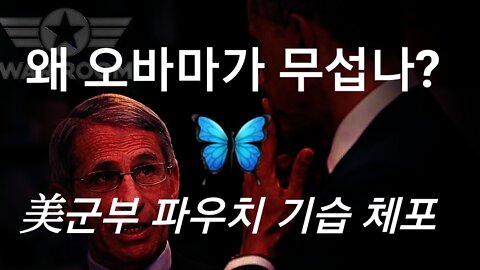 美군부, 파우치 체포!
