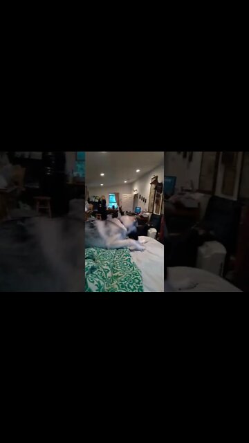 The 7 stages of hair dryer