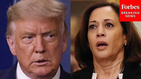 'She Said It For 15 Years': Donald Trump Says 'Kamala Harris Wants Open Borders'