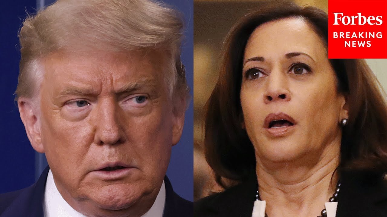 'She Said It For 15 Years': Donald Trump Says 'Kamala Harris Wants Open Borders'