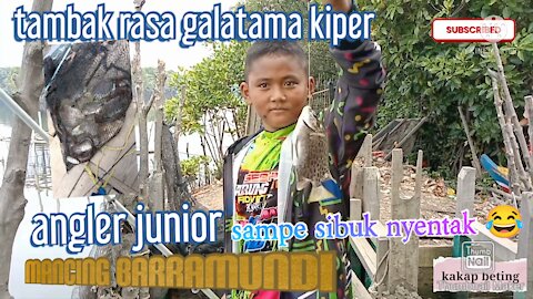 Mancing barramundi bonus mancing ikan kiper serasa lomba galatama neter 😂