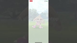 Shiny Hitmontop