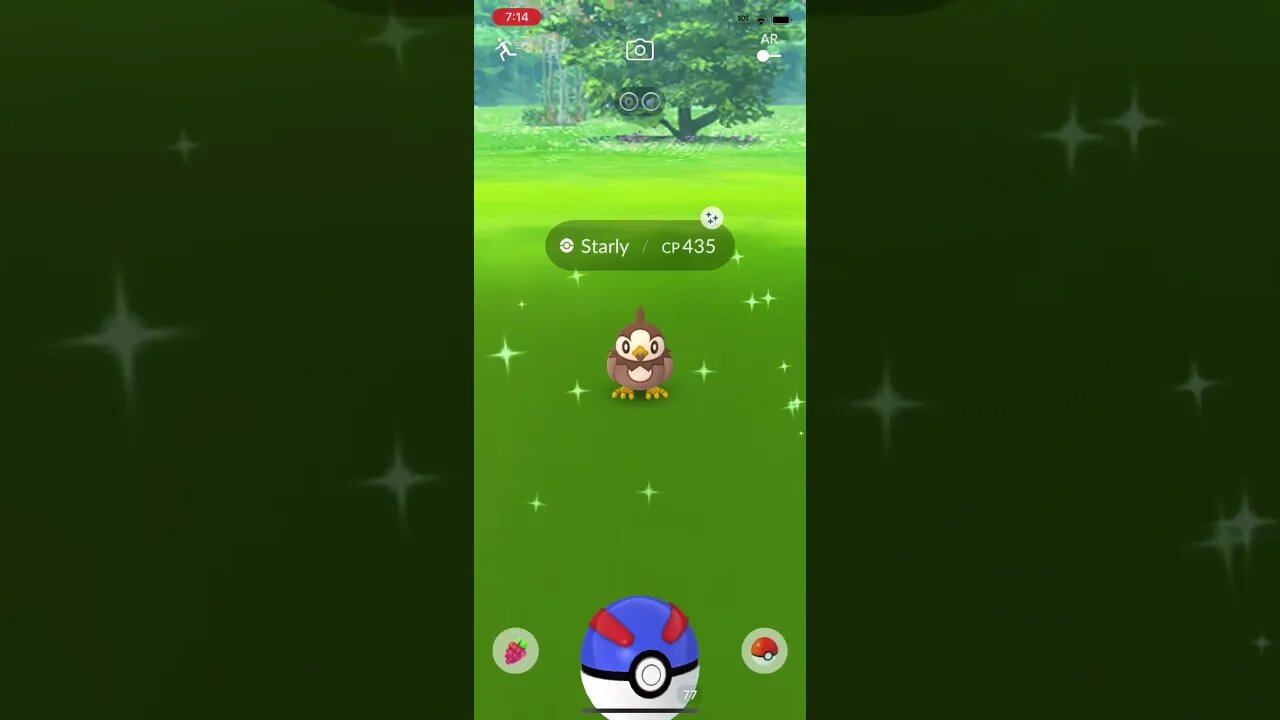 Shiny Compilation