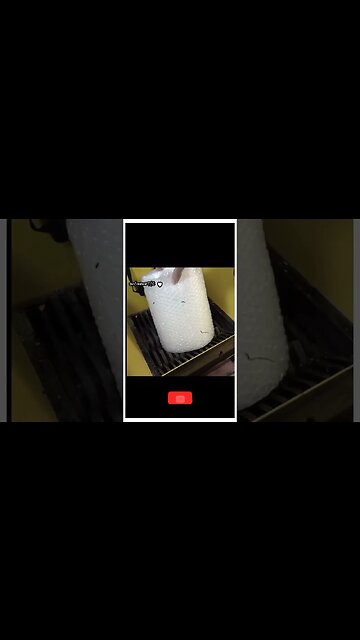 wierd things in YouTube #trending