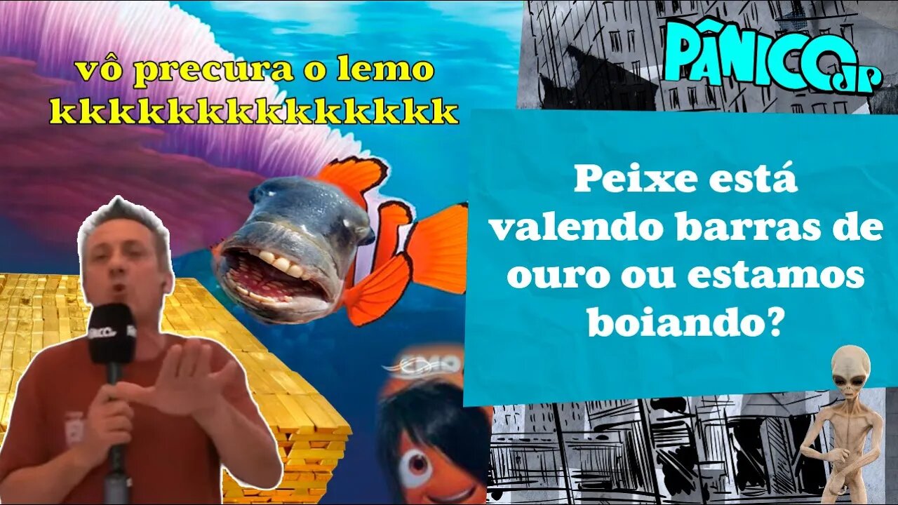 NEM A GAROUPA RESOLVE MAIS? FUZIL INVESTIGA O AUMENTO DO PREÇO DO PEIXE