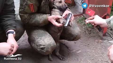 Funny: Russian soldiers captured a Ukrainian and try to force him to take an oath to the Russian Federation