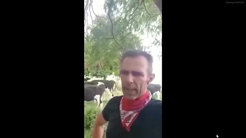 Jordan Peterson - A Dutch Farmer Speaks