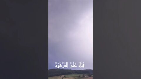 أجمل الصوات في الدنيا العالم مؤثيرة بيكي