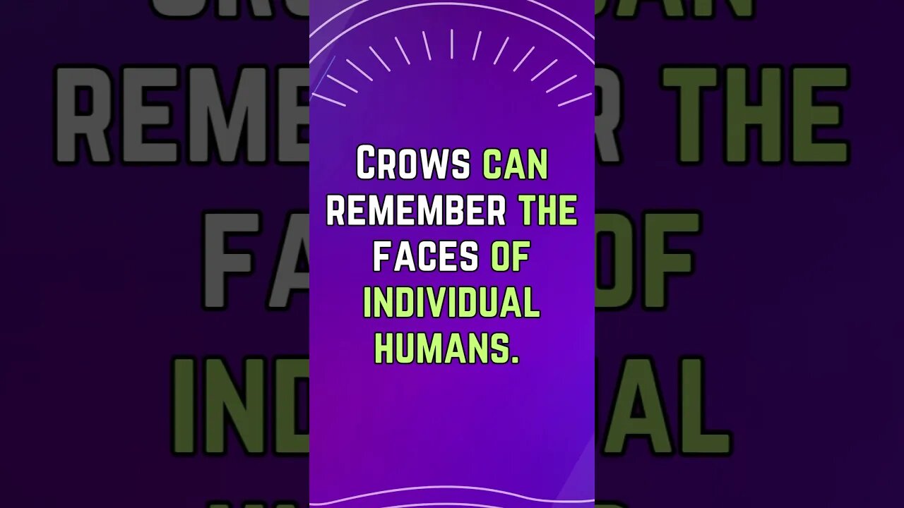 🐦Discover Fascinating Animal Facts👀 #shorts #shortsfact #animalfacts #birdfacts #crow
