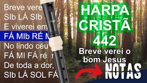 Harpa Cristã 442 - Breve verei o bom Jesus - Cifra melódica