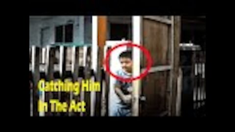 This Boy Disappears Every Night, Then Dad Secretly Follows Him And Realizes Why