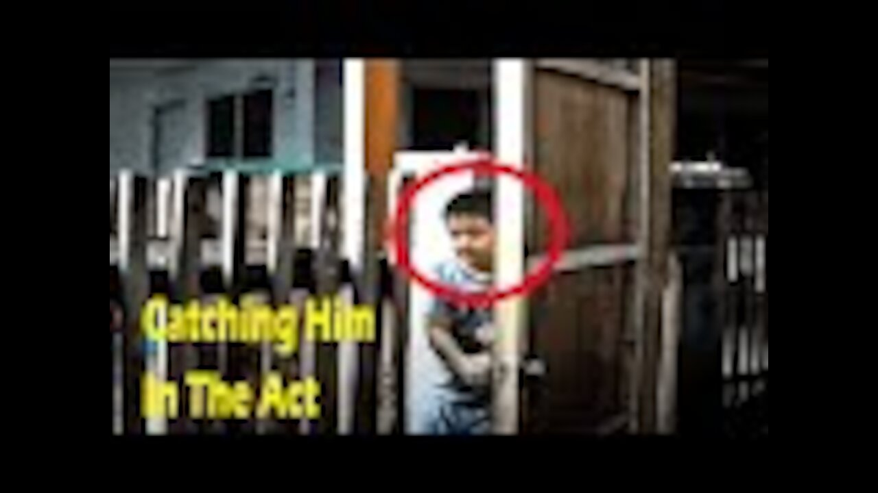 This Boy Disappears Every Night, Then Dad Secretly Follows Him And Realizes Why