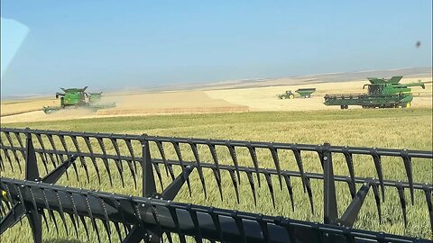 “People would pay for this ride!” / Day 2 Highwood Montana Wheat Harvest