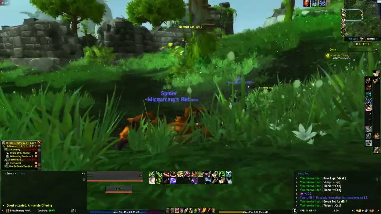 World of Warcraft Mists of Pandaria A Humble Offering