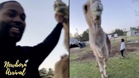 Kevin Gates & The Kids Play Outside With His Camels! 🐫