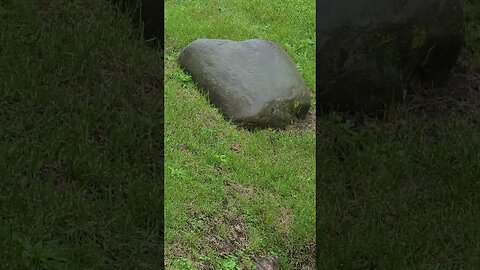 very interesting video #shorts