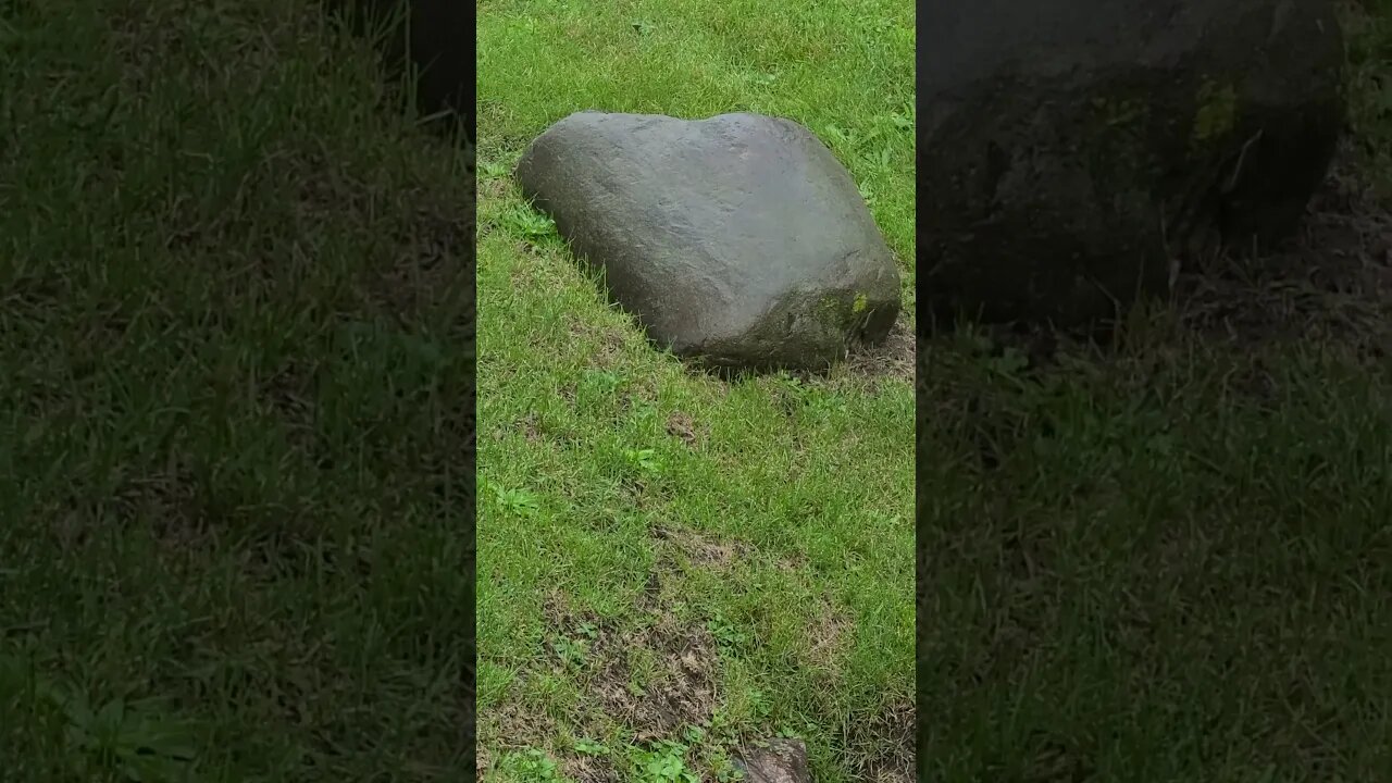 very interesting video #shorts