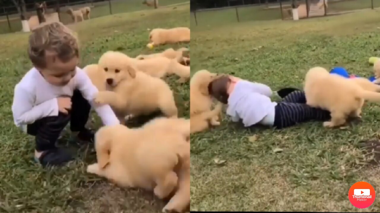 Cute baby playing with golden baby supper cute