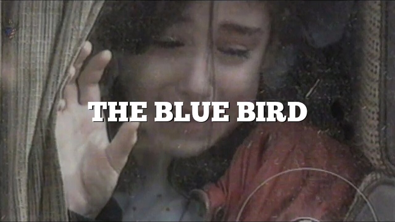 The Blue Bird