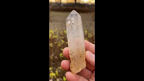 ✨Just listed in my shop✨