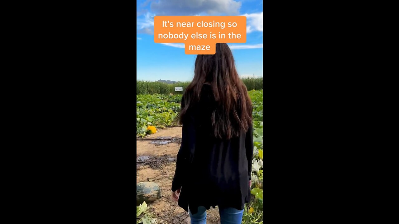 LOST IN A CORN MAZE? (Part 1?)