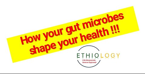 How your gut microbes shape your health