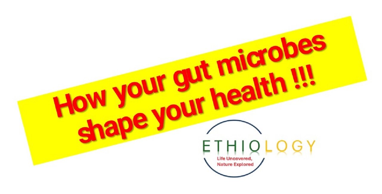 How your gut microbes shape your health