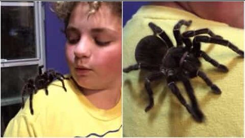 This kid has the scariest pet ever!