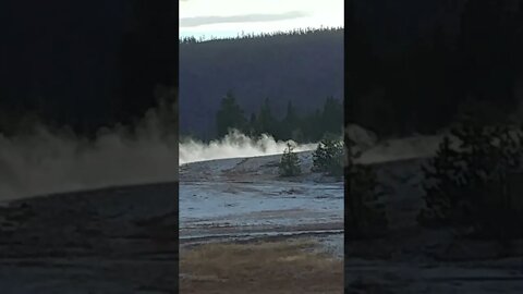 Yellowstone National Park Upper Geyser Basin