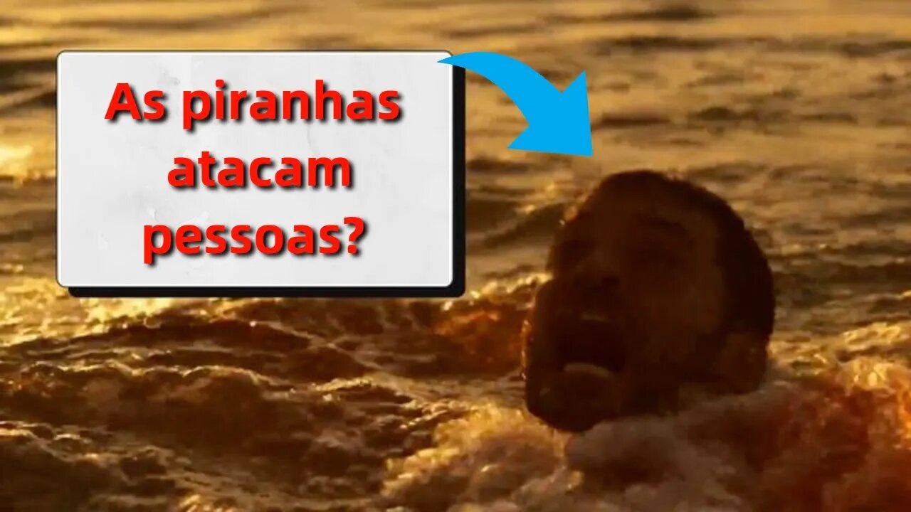 Como piranhas atacam pessoas?