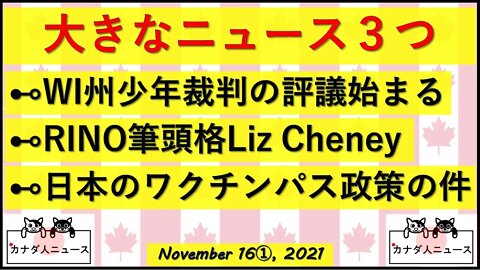 裁判所前で大騒ぎ/RINO狩り/日本のびっくり政策案