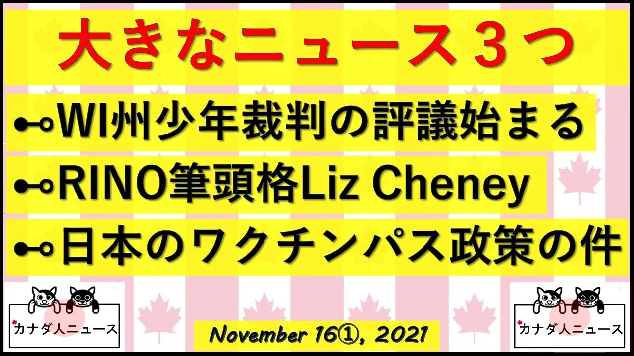 裁判所前で大騒ぎ/RINO狩り/日本のびっくり政策案