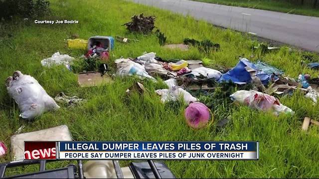 Hillsborough neighborhood becoming a 'dumping ground' for junk, debris