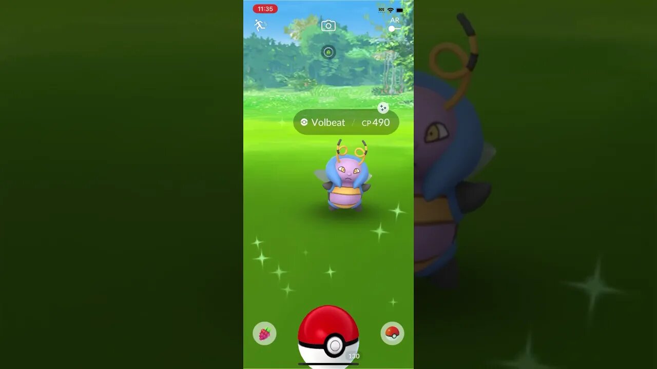 Shiny Compilation