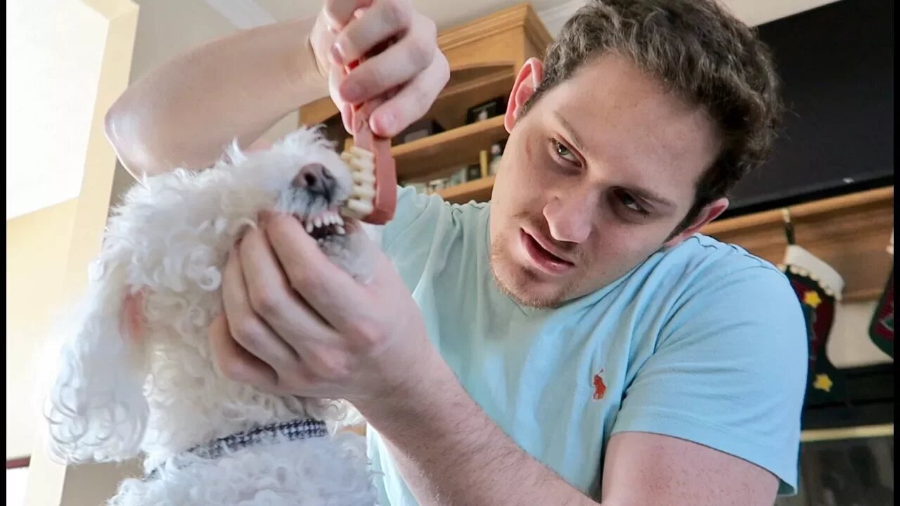 He Got Possessive Over a Toothbrush!