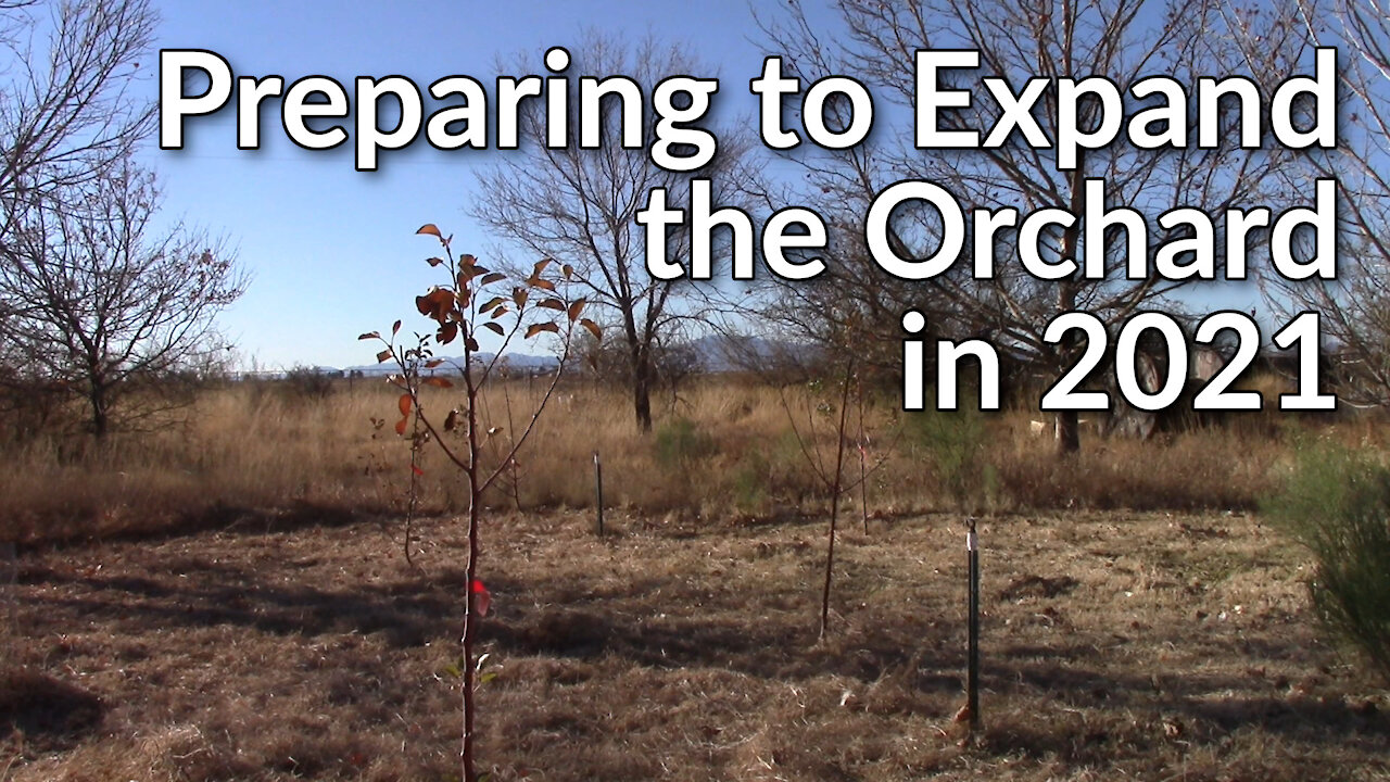 Preparing to Expand the Orchard in 2021