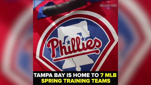 Tampa Bay is home to 7 MLB Spring Training teams | Taste and See Tampa Bay