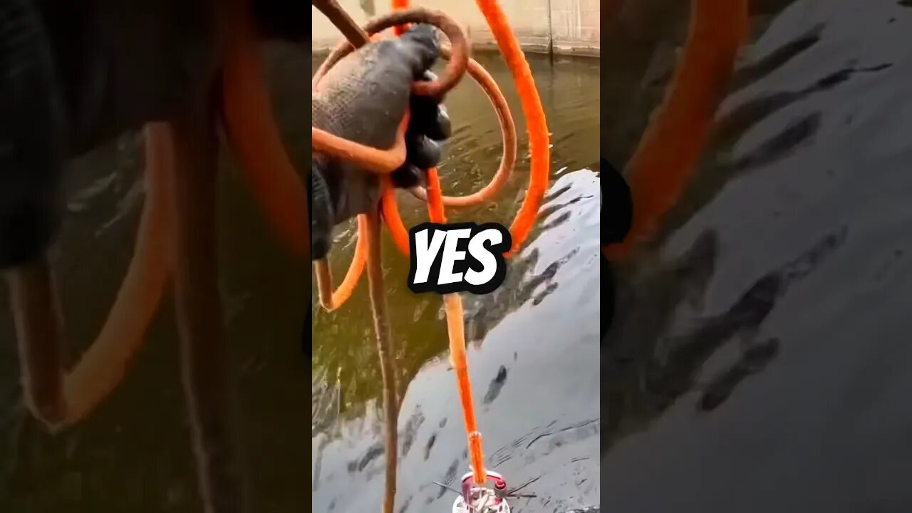Magnet Fishing Extreme Swimming Hazard! #magnetfishing #shorts