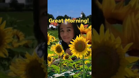 Great Morning @ @everyone #everyone