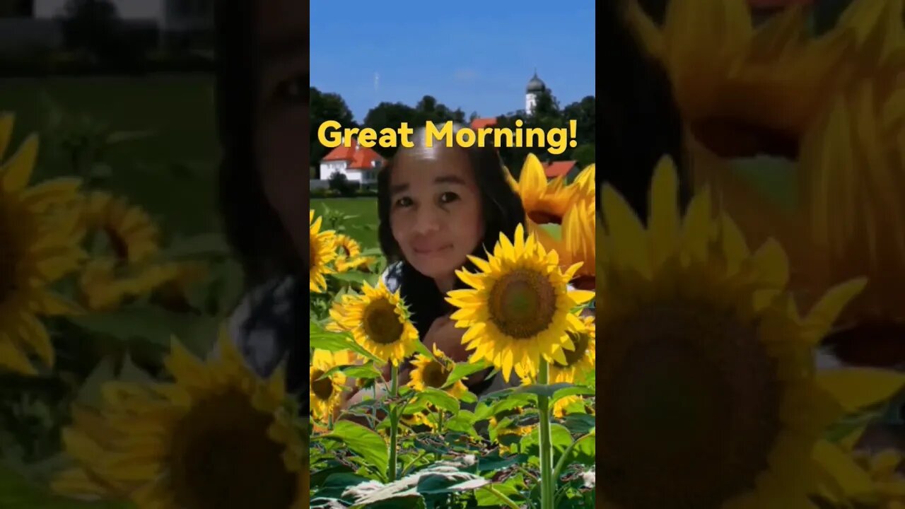 Great Morning @ @everyone #everyone