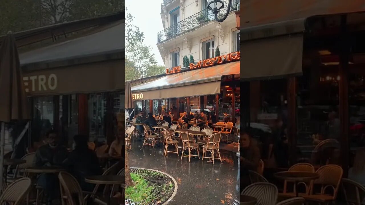 Paris In The Rain Tiktok bee willis