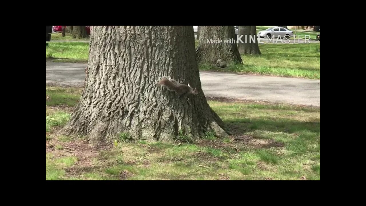 Rimuru New York City VLOG