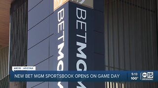 Fans bet at State Farm Stadium's new BetMGM Sportsbook hours before Arizona Cardinals game