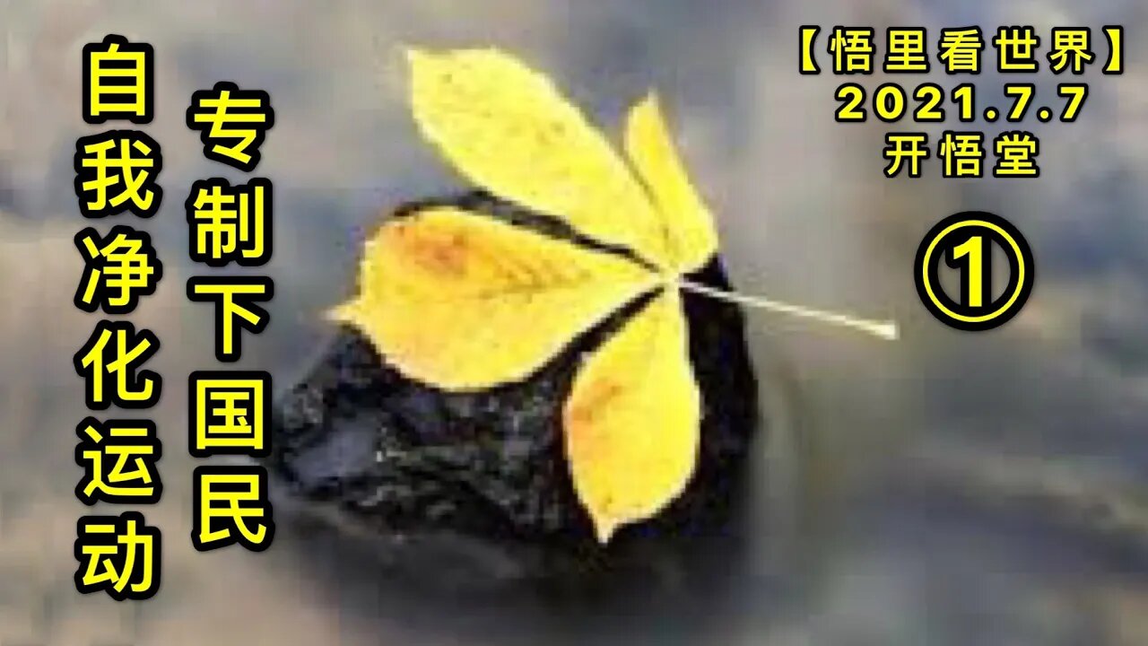 KWT2053(1)专制下国民自我净化运动20210707-9【悟里看世界】