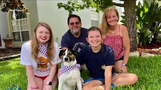 Tully's Tails: Meet Jarvis