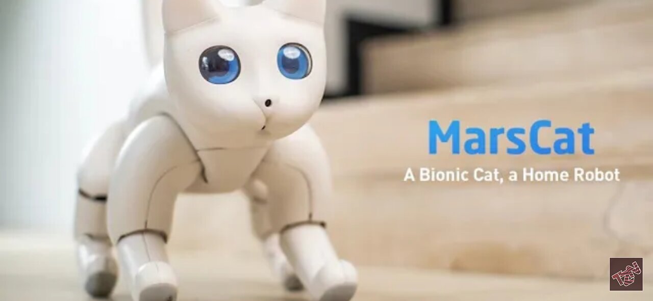 Bonic cat at home robot