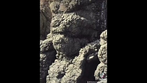 ۱۶ سپتامبر ۲۰۲۲