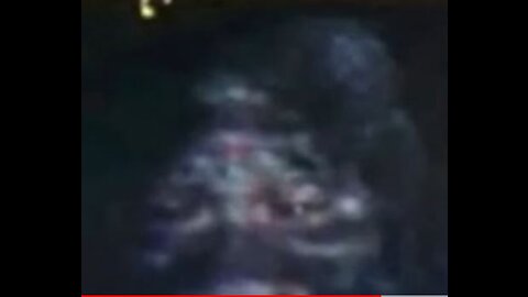 Bigfoot Video from Adygea Republic, Russia
